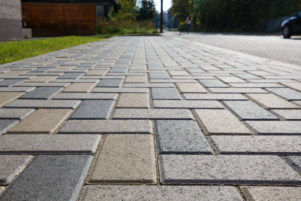 Best Driveway Repair Near Me  in Storm Lake, IA